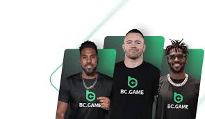 Exploring the World of Casino BC Game A Comprehensive Guide